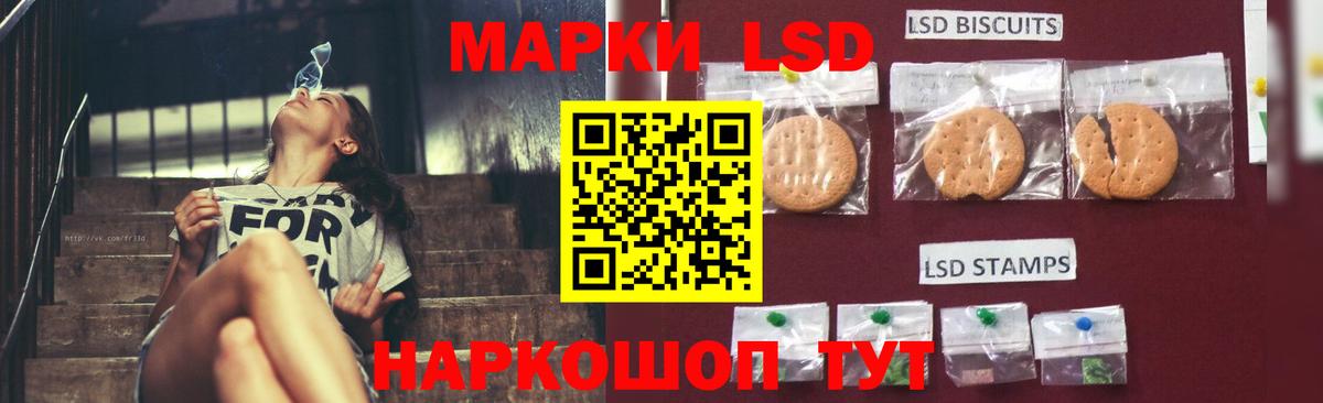 LSD-25 экстази кислота  Вход с VPN  МЕГА вход  Шадринск  Лсд 25 экстази кислота  ЛСД экстази 
