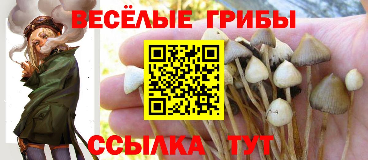 хочу   Галлюциногенные грибы GOLDEN TEACHER  Вход с VPN  Галлюциногенные грибы мухоморы  Шадринск 
